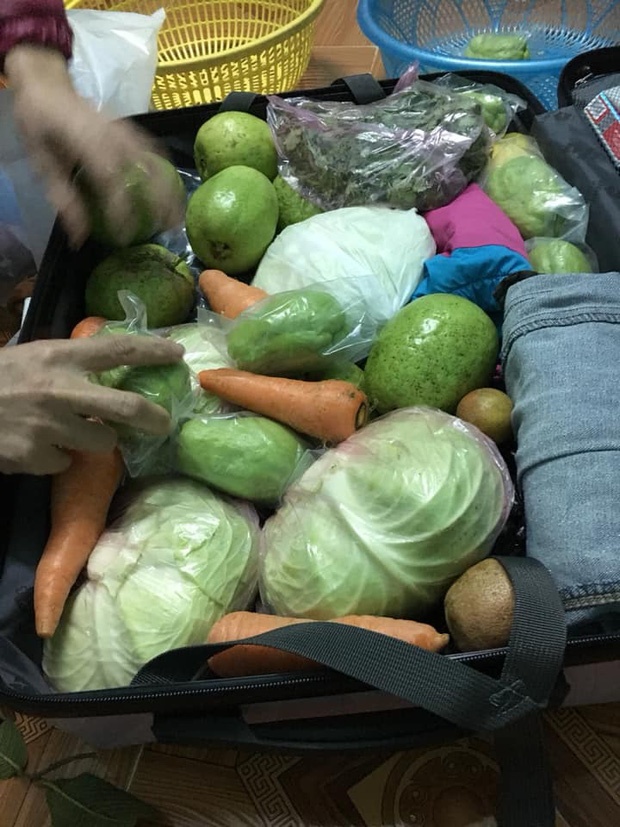 trở về thành phố sau tết ảnh 5 tro ve thanh pho sau tet anh 5