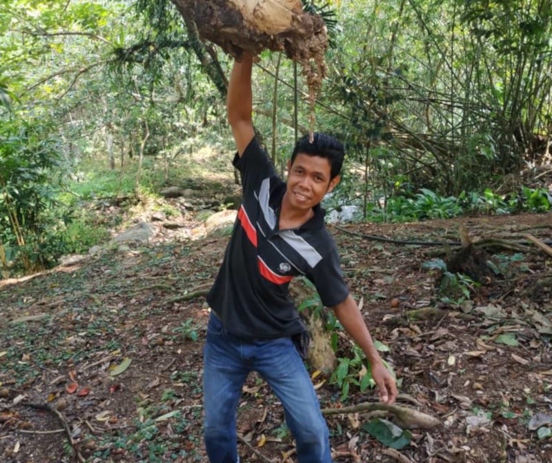 dan ong kiem vo anh 2