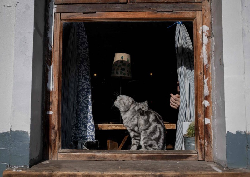 viem phoi corona anh 1