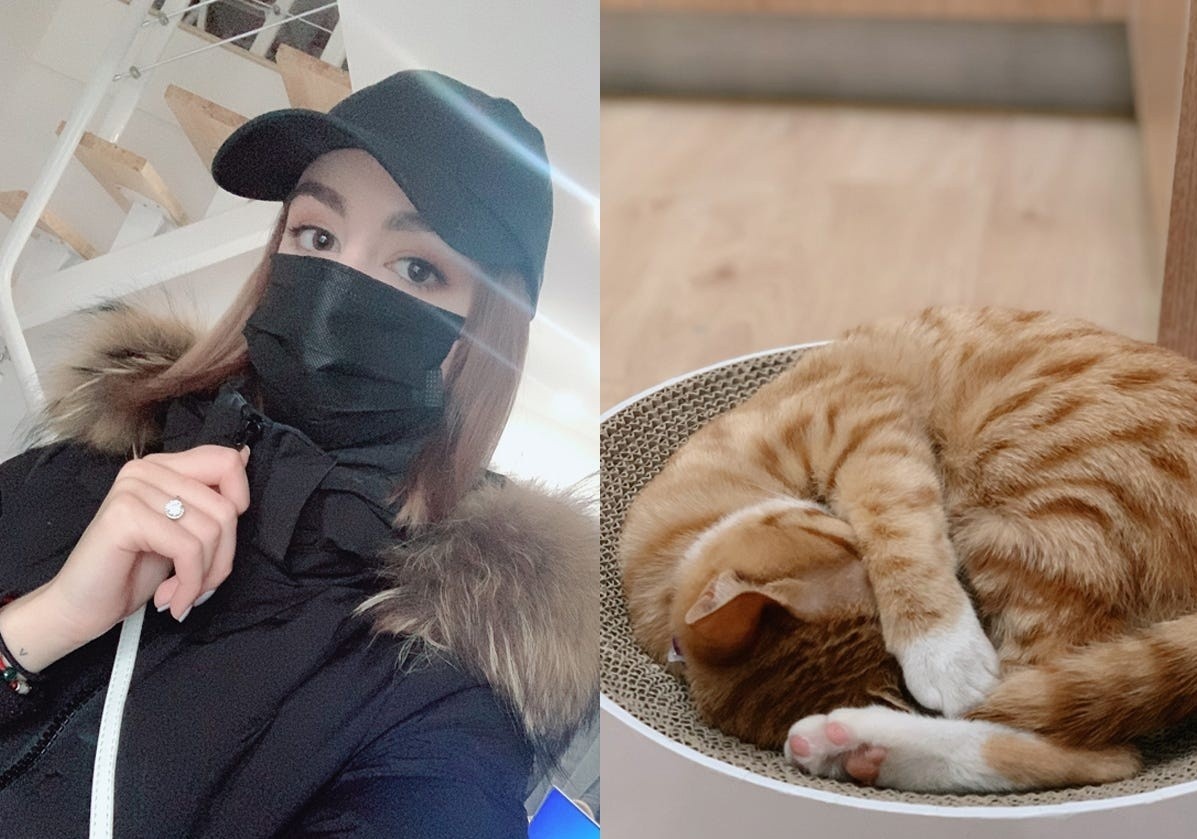 Co gai o lai tam dich Vu Han vi khong muon bo lai meo cung hinh anh