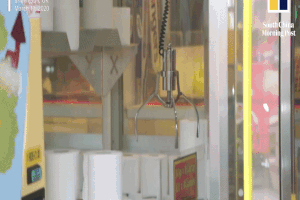 Nguoi phu nu di hon 100 km de choi gap giay ve sinh hinh anh