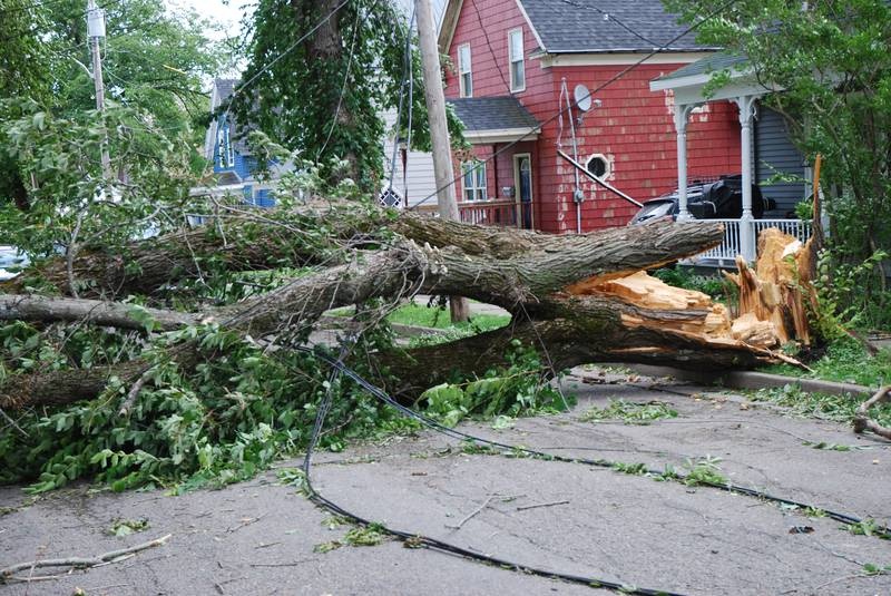 Bat ngo bi hang xom chat cay, chan cua nha vi nghi ngo nhiem virus hinh anh