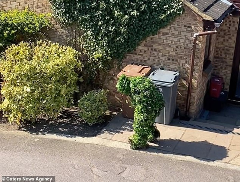 hoa trang ra duong chong dich anh 9