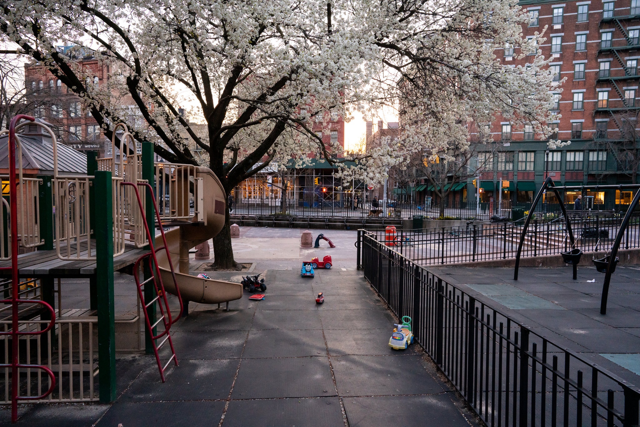 new york trở thành tâm dịch ảnh 6 new york tro thanh tam dich anh 6