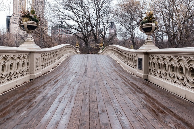 new york trở thành tâm dịch ảnh 9 new york tro thanh tam dich anh 9