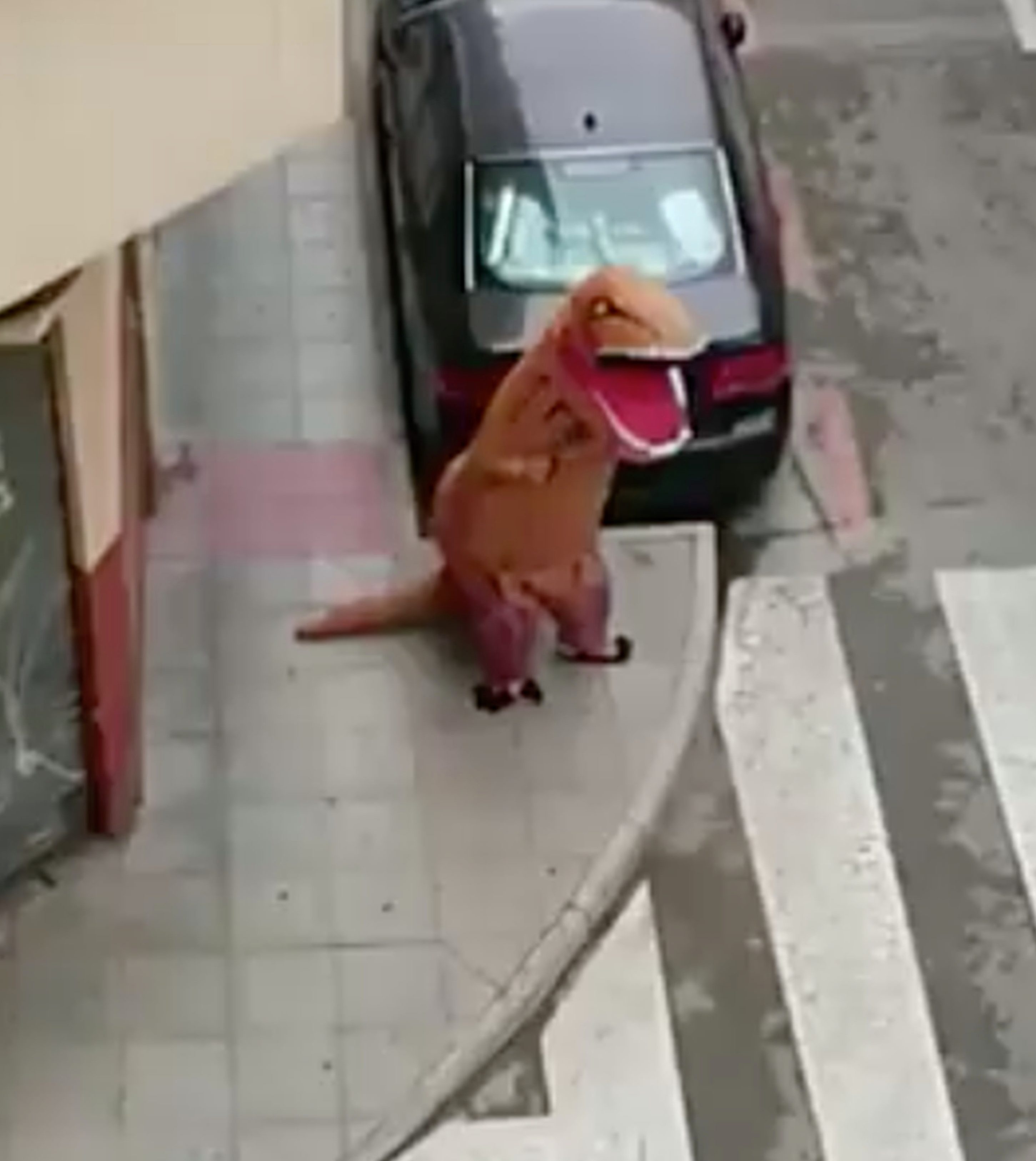 cấm ra đường khi phong tỏa ảnh 3 cam ra duong khi phong toa anh 3