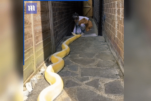 Co gai ket ban voi tran khong lo trong nhung ngay cach ly hinh anh