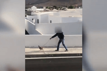 Nguoi dan ong dat ga mai di dao trong luc Tay Ban Nha phong toa hinh anh