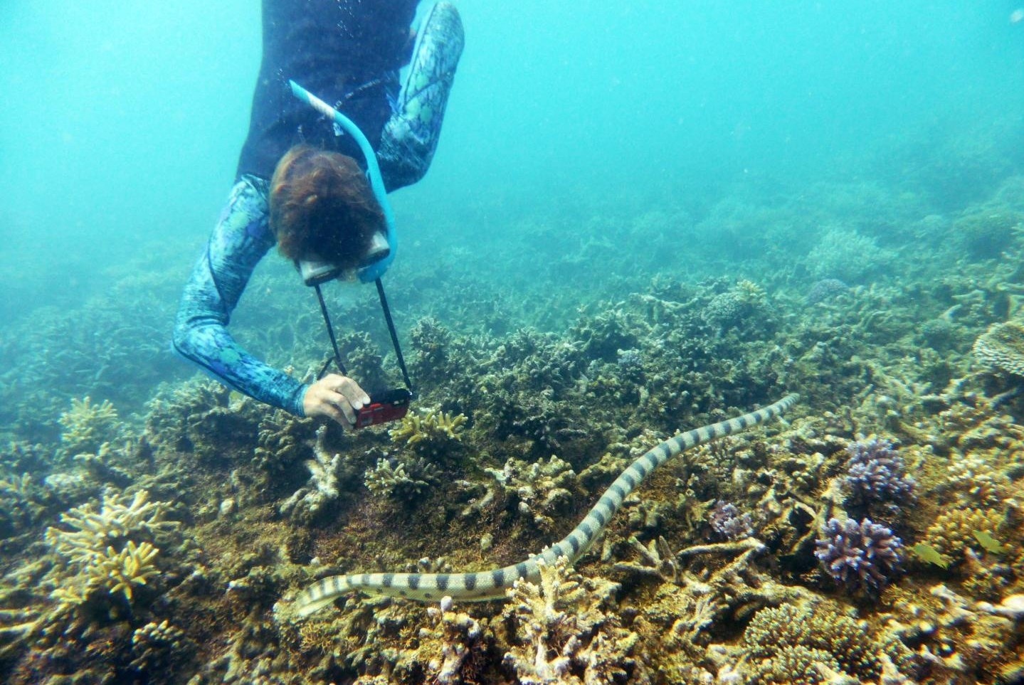 Tuoi tac khong ngan can duoc nhung ba lao nay boi cung ran doc hinh anh