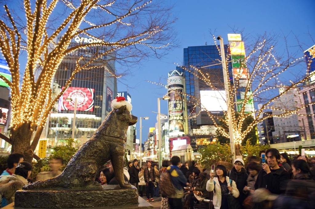 deo khau trang cho tuong cho hachiko anh 2