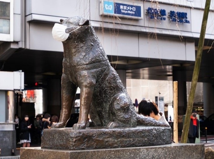 Chinh quyen Tokyo keu goi khong deo khau trang cho tuong cho Hachiko hinh anh