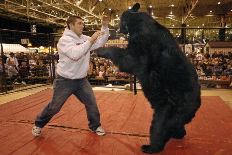 Bi phat nang vi toi say xin, chui vao chuong danh nhau voi gau hinh anh