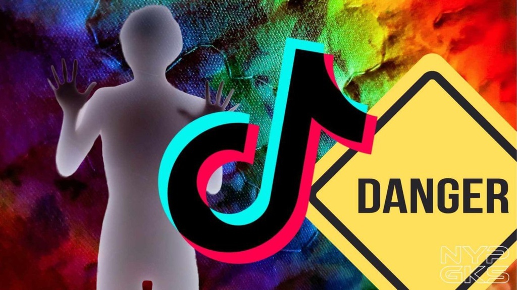 quay clip tiktok gia lam nan nhan bi diet chung anh 4