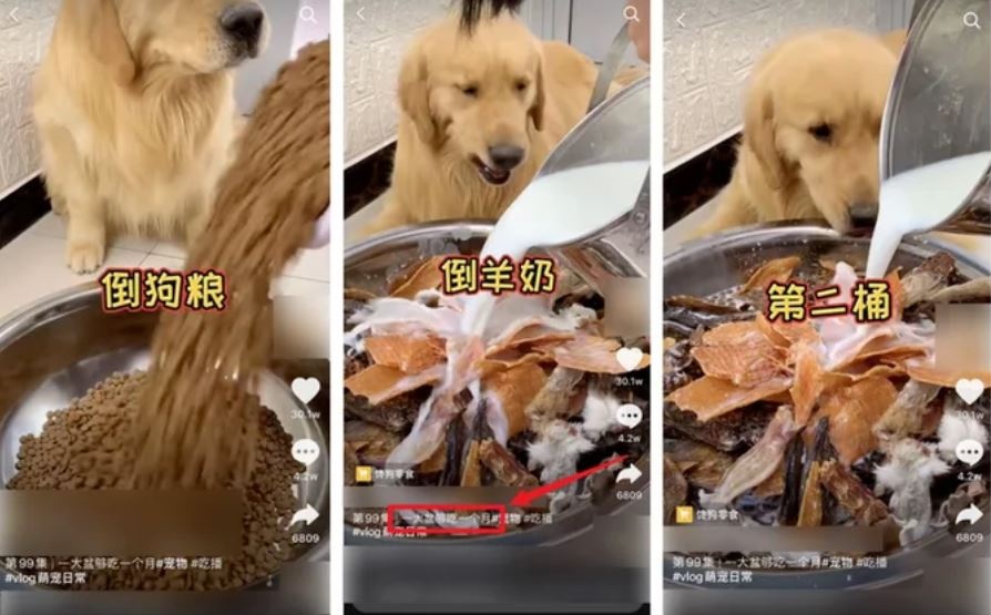 bat cho an ot tuoi do song de quay video mukbang anh 2