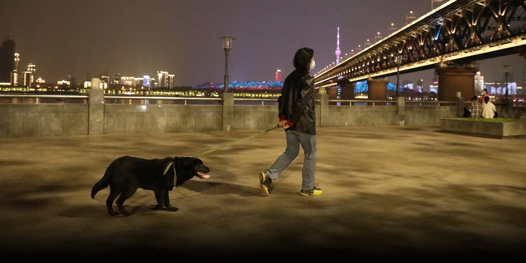 cam dat cho di dao anh 1