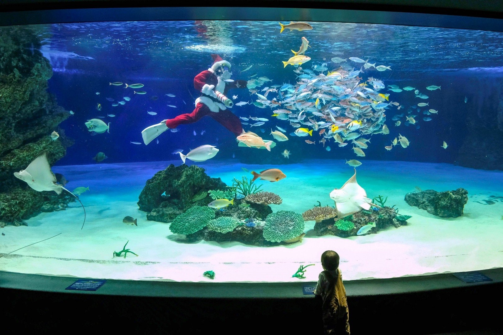 ong gia noel lam viec mua dich anh 12