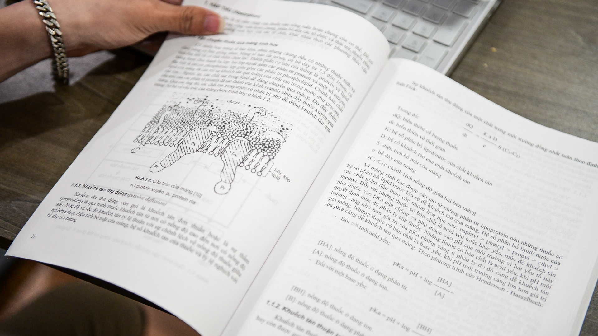 mot ngay phat qua cua ong gia noel anh 4