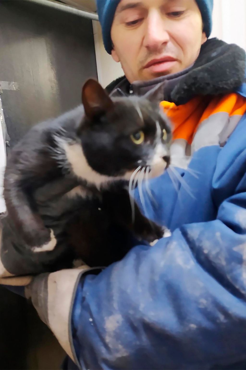 chu meo duoc cuu song khoi may nghien rac anh 1