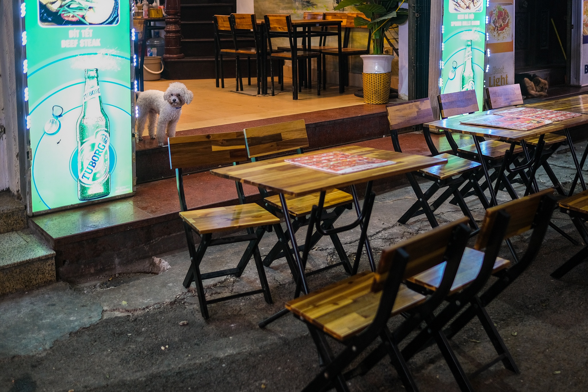 Ta Hien e am vang ve vi dich bung phat tro lai anh 8