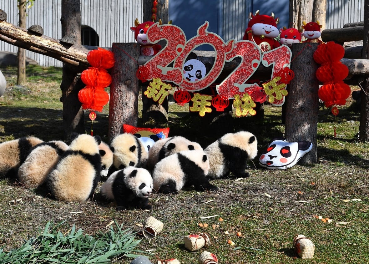 Khung canh trang tri Tet o cac quoc gia chau A hinh anh