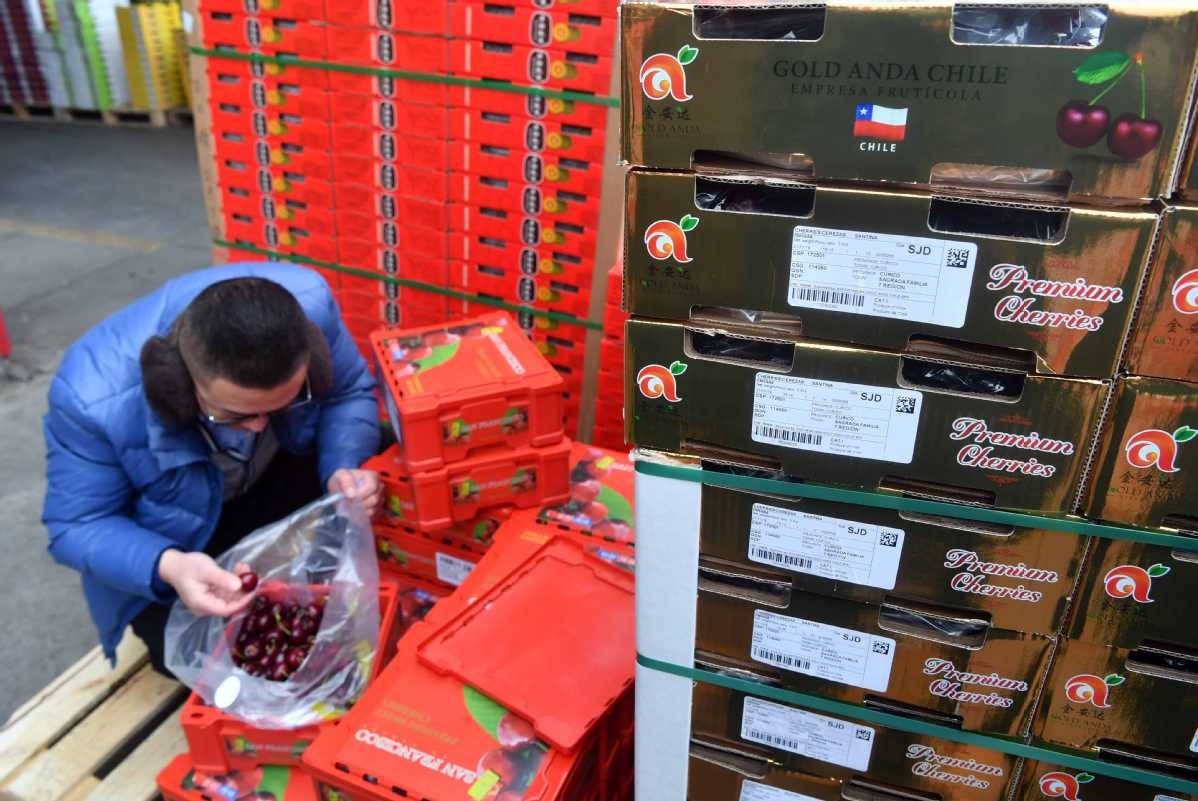 tu do cherry cua gioi tre trung quoc anh 4