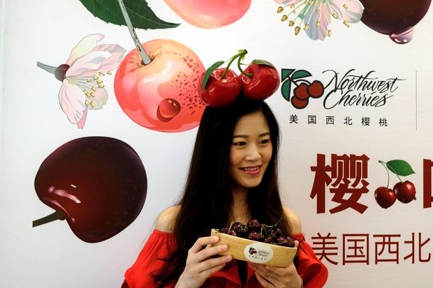 'Tu do cherry' o Trung Quoc hinh anh