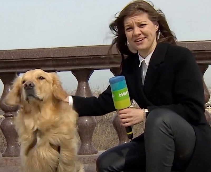 nu phong vien bi giat mic tren song truc tiep anh 2