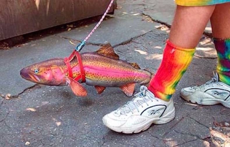 Khong can dam dong tu tap,  mot nguoi ra ngoai cung lam dich bung phat anh 4