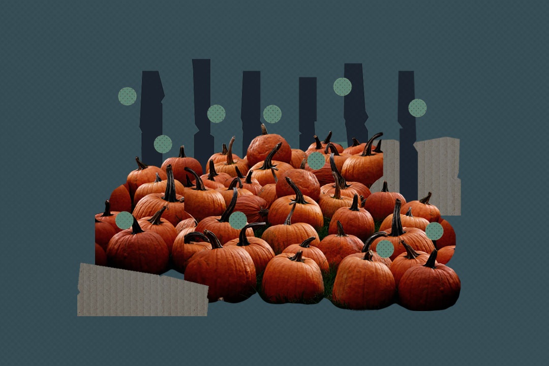 Tai sao bi ngo la bieu tuong cua le Halloween hinh anh