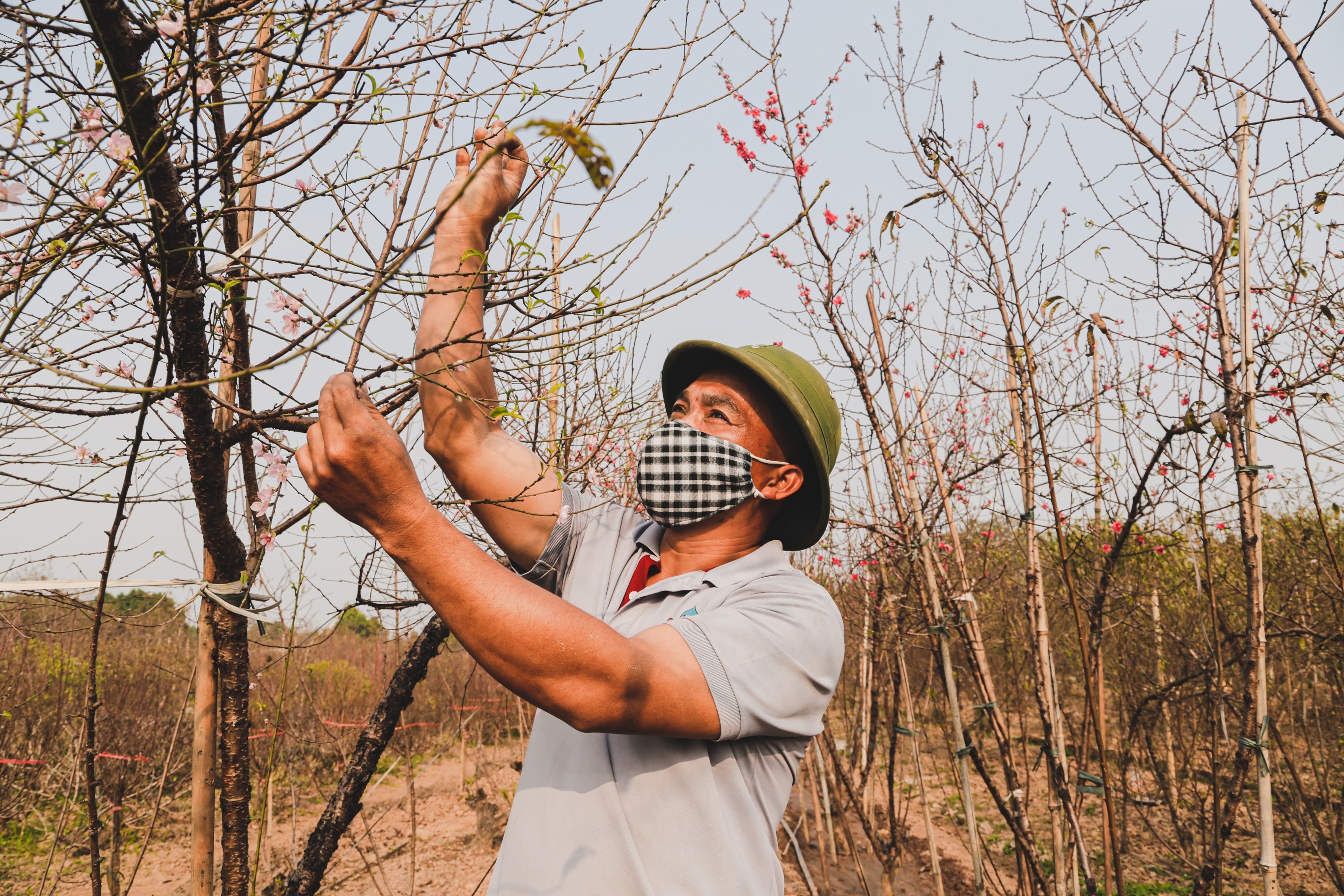 Dao Nhat Tan xuong pho som anh 4