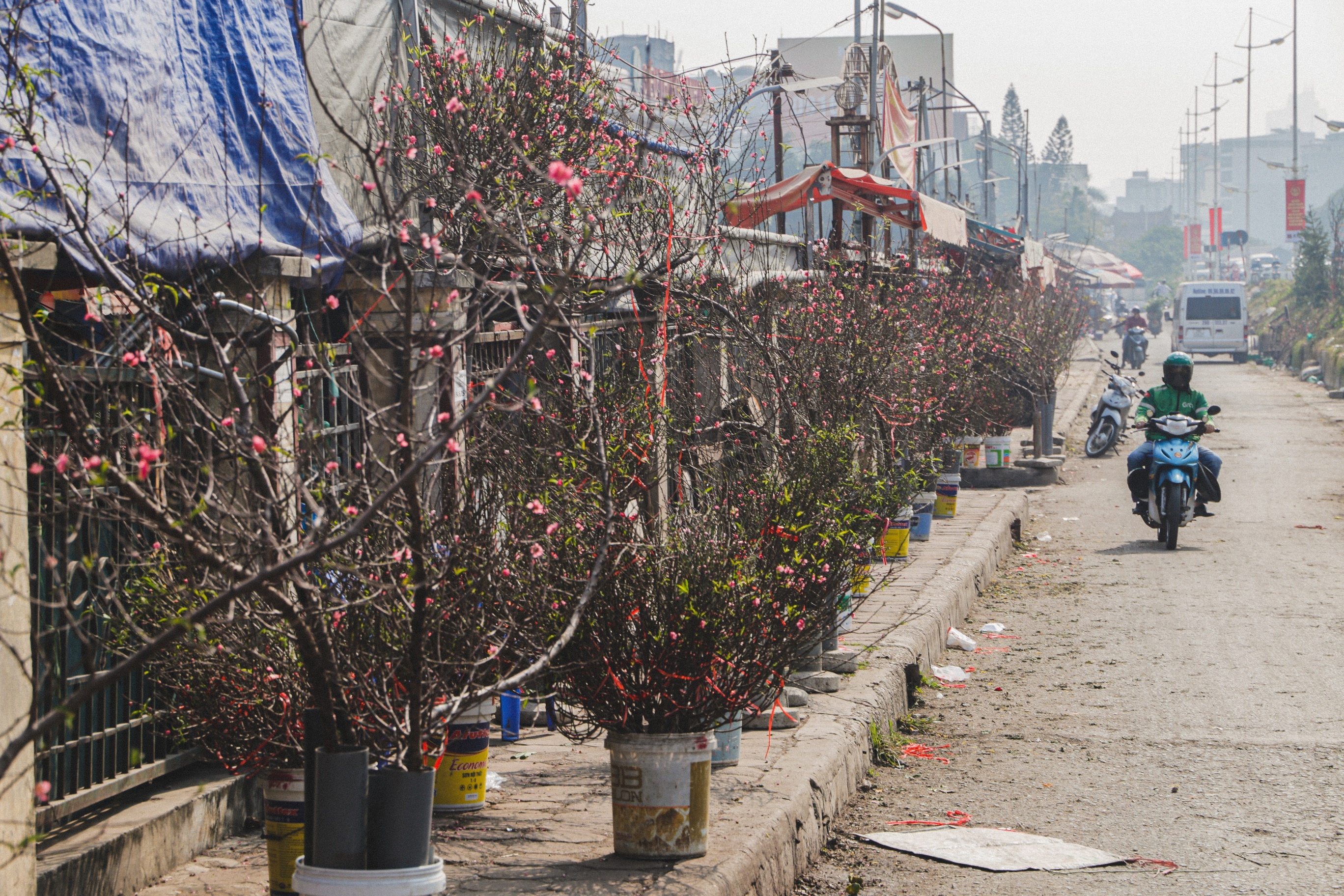 Dao Nhat Tan xuong pho som anh 1