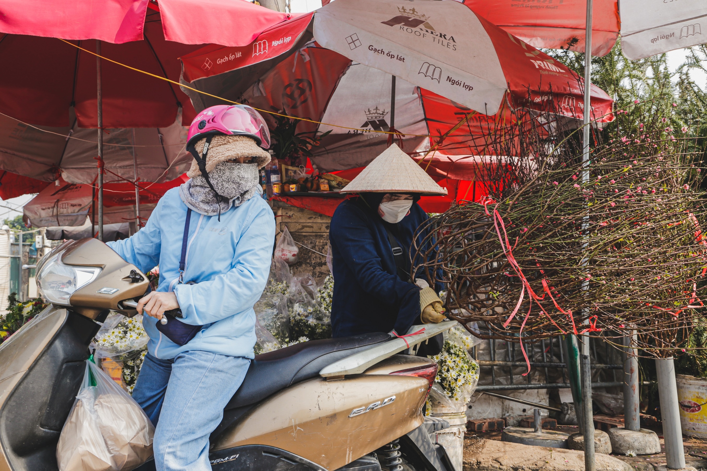 Dao Nhat Tan xuong pho som anh 7