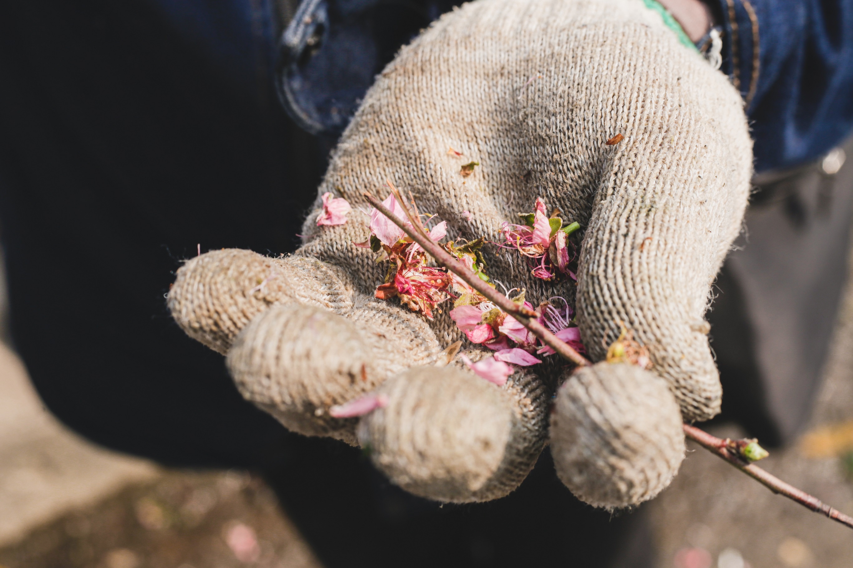 Dao Nhat Tan xuong pho som anh 3