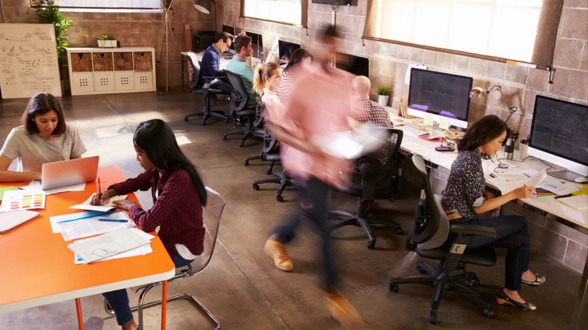 Ung vien,  cong ty dot ngot bien mat anh 4