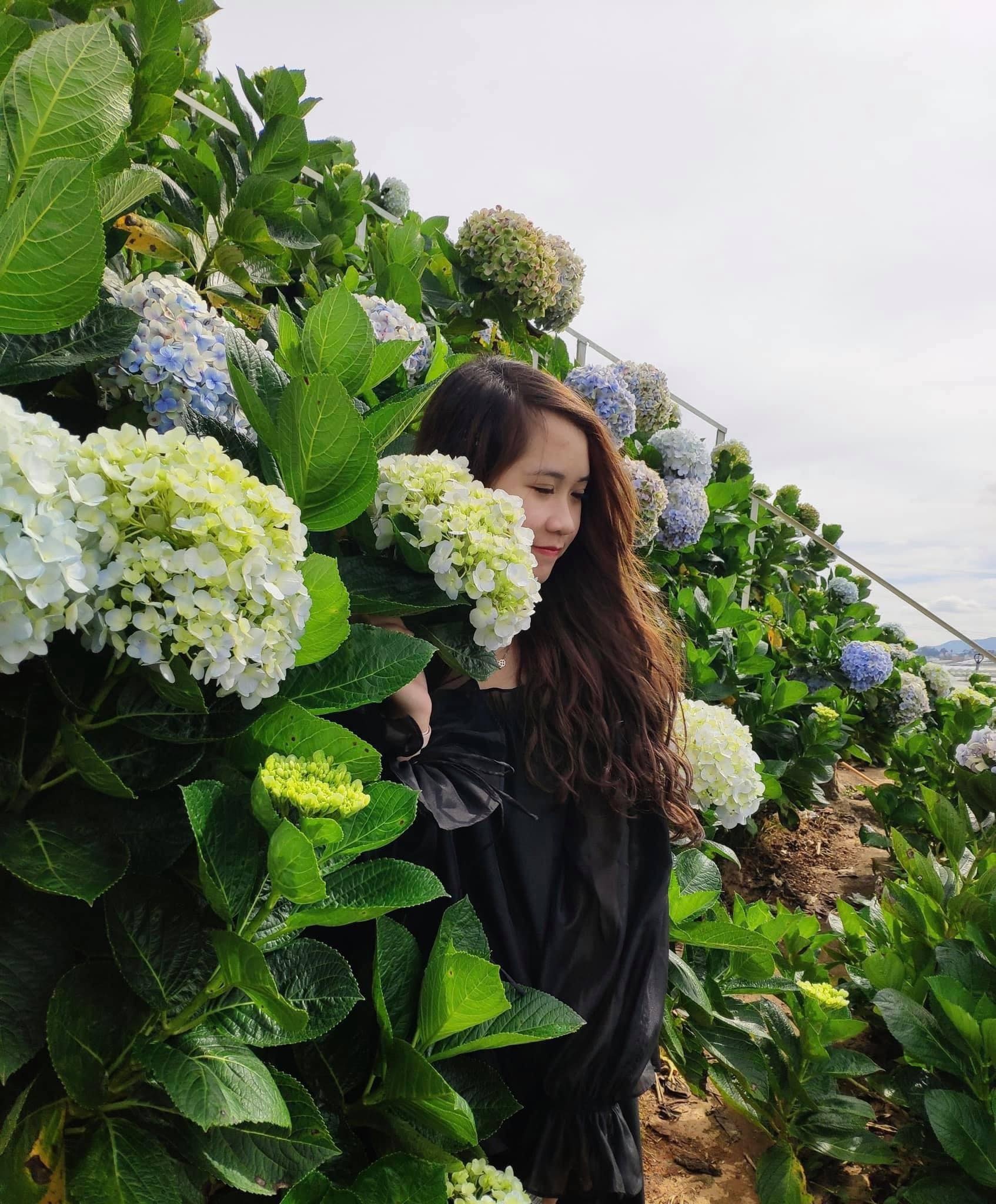 di dau 30/4-1/5 anh 3