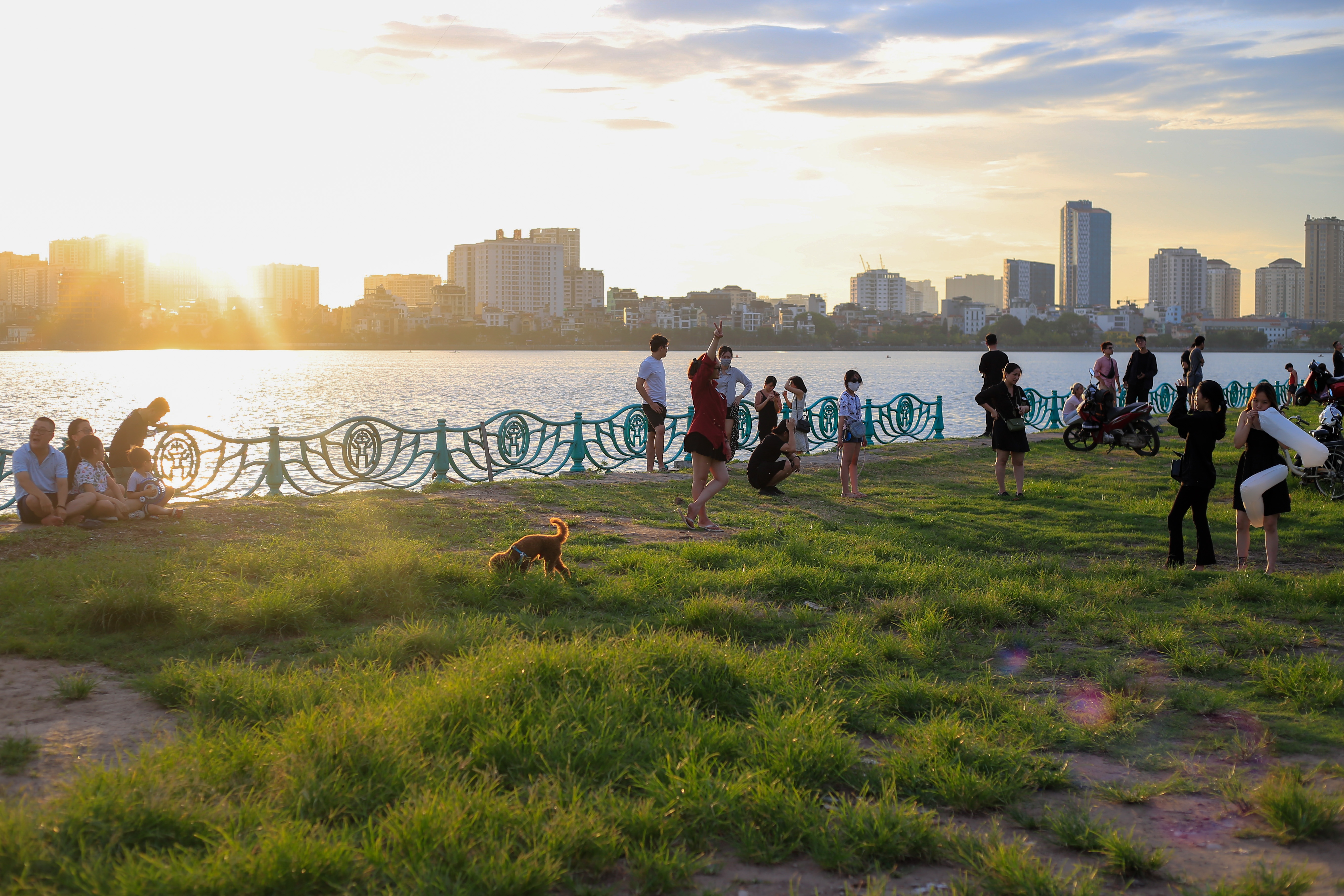 cay co don bi chat pha anh 10