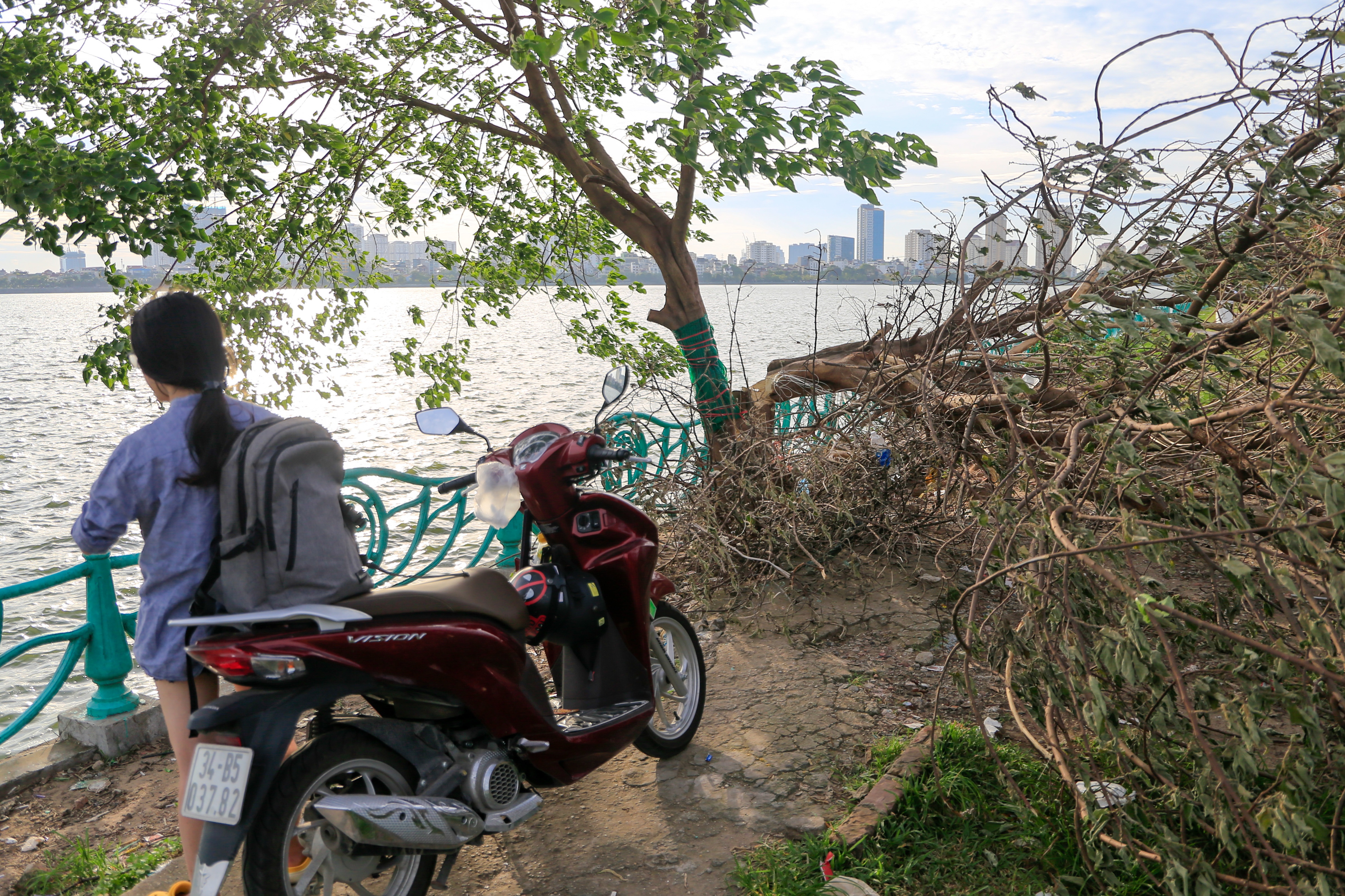 cay co don bi chat pha anh 2