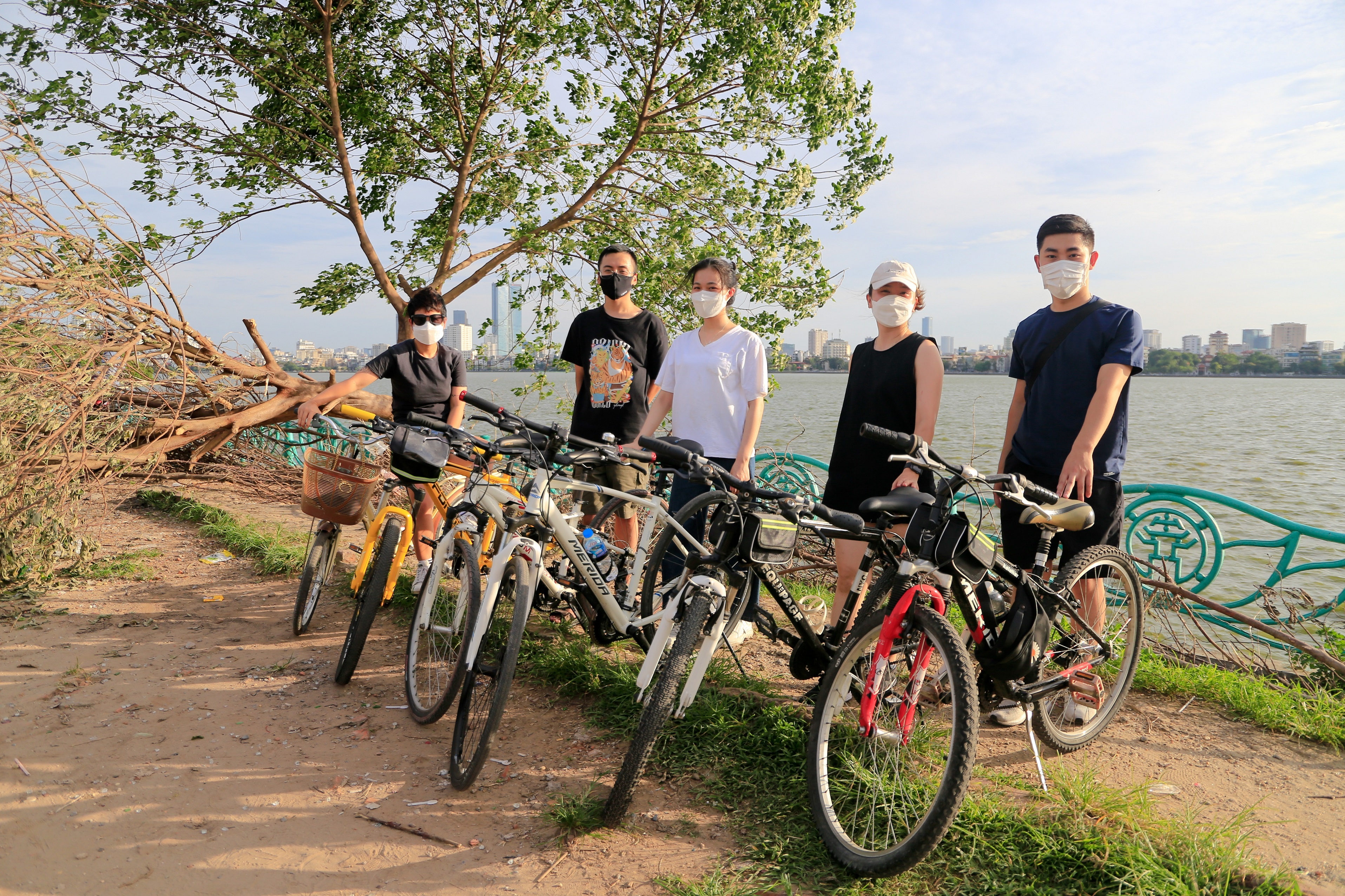 cay co don bi chat pha anh 4