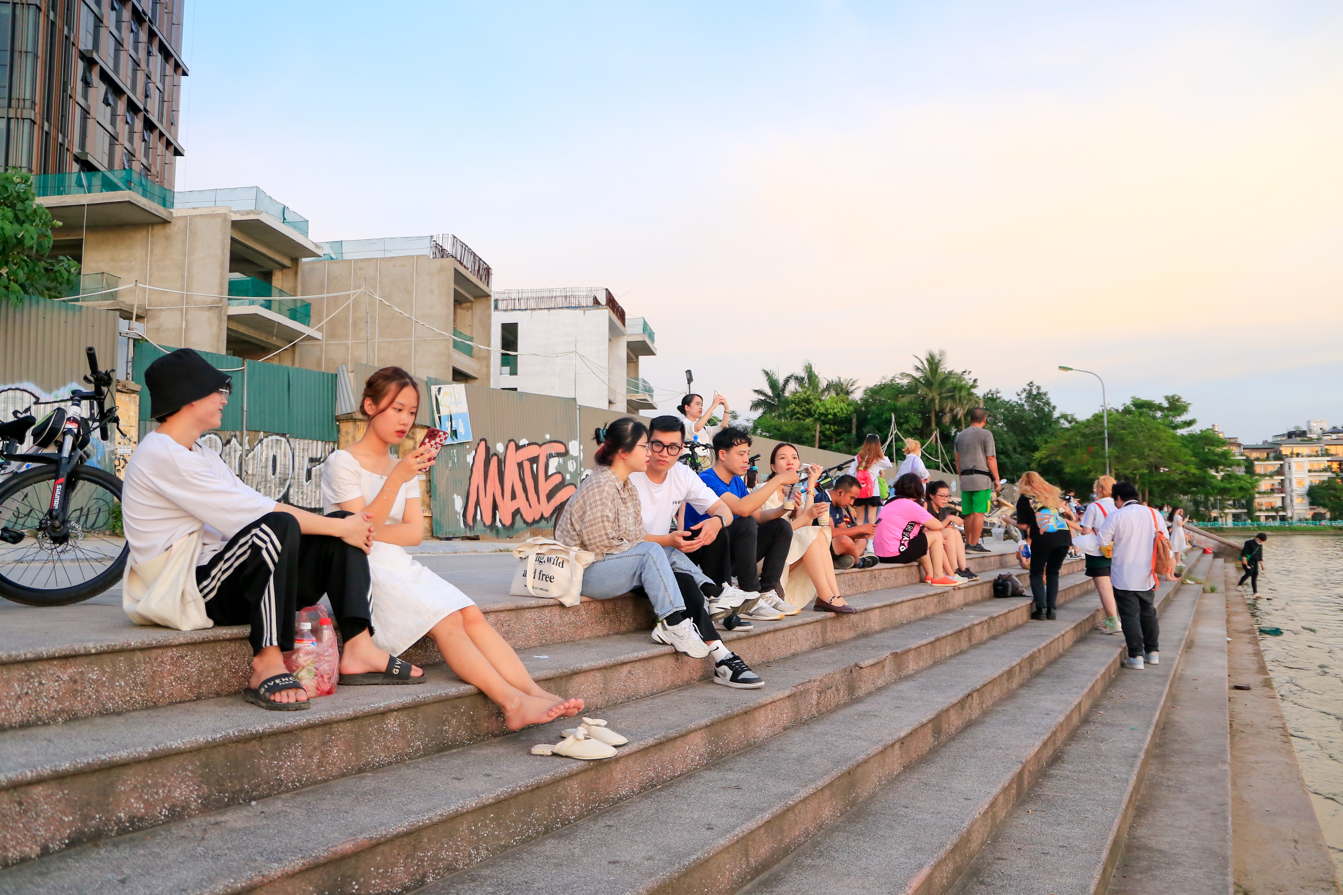 cay co don bi chat pha anh 11