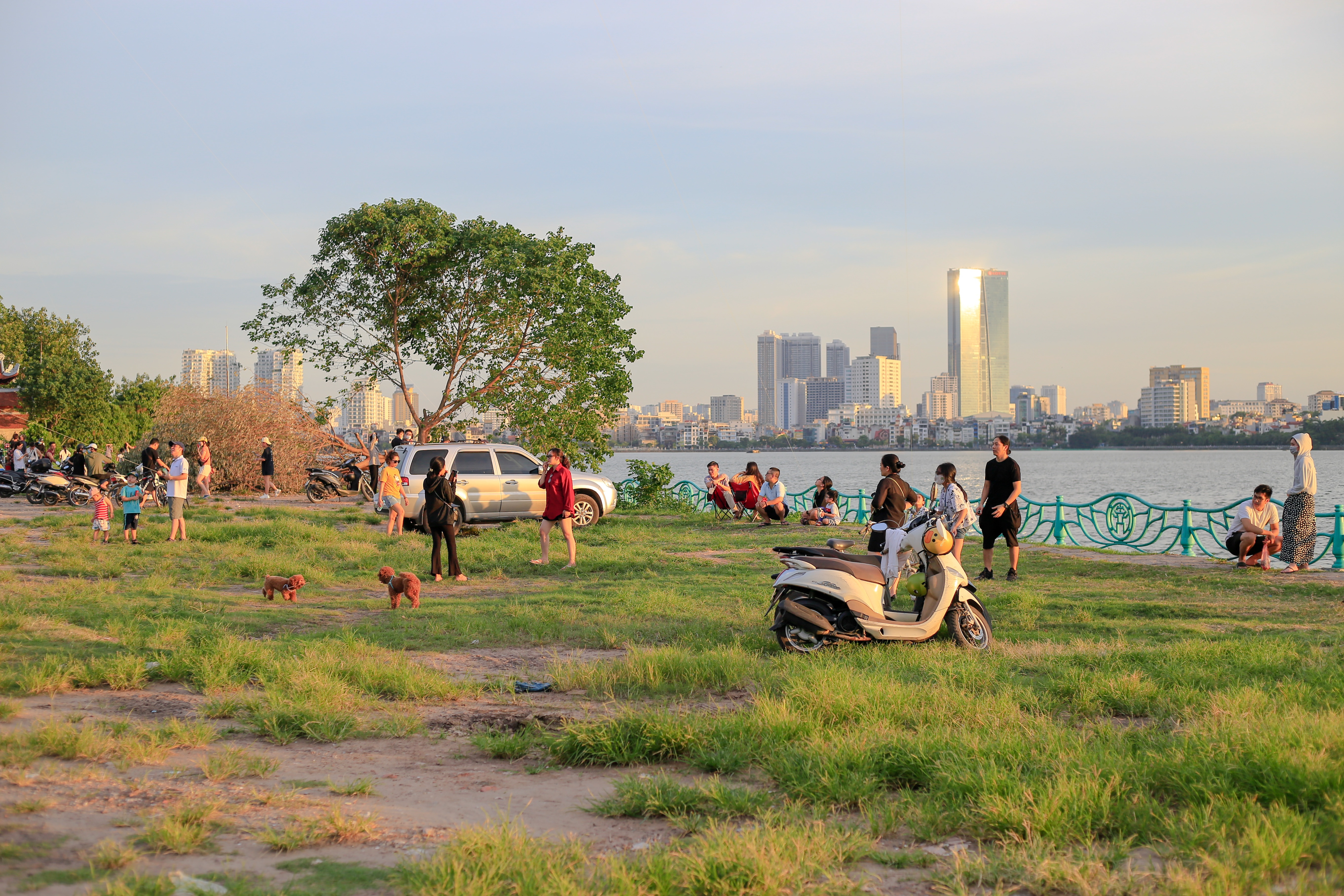 cay co don bi chat pha anh 1