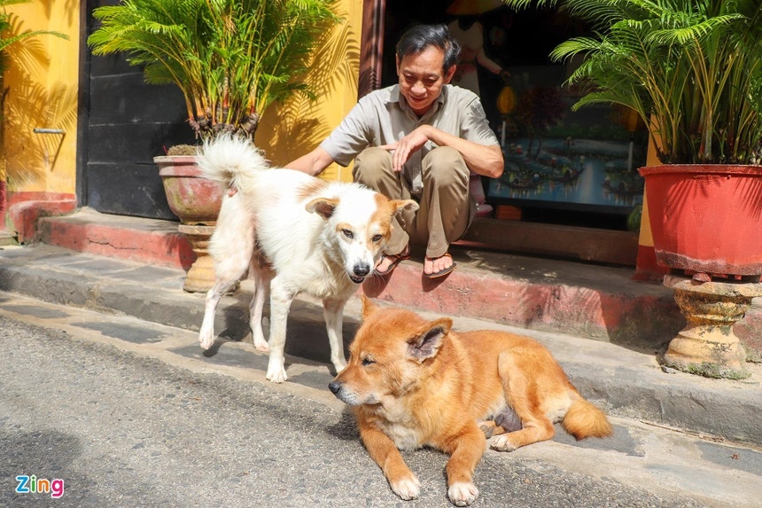 khong an thit cho anh 2