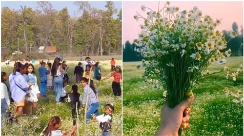 tiktoker pha hoai anh 1