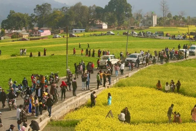 tiktoker pha hoai anh 3
