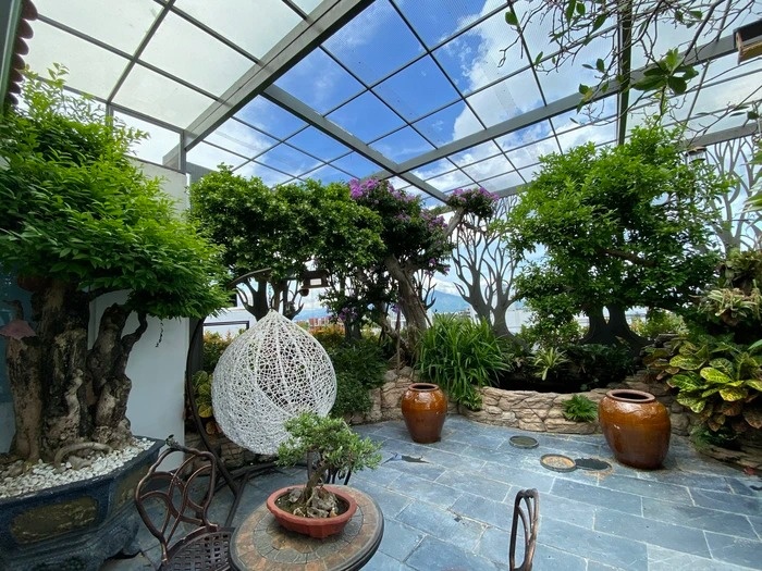 mua ngay tam binh anh 2