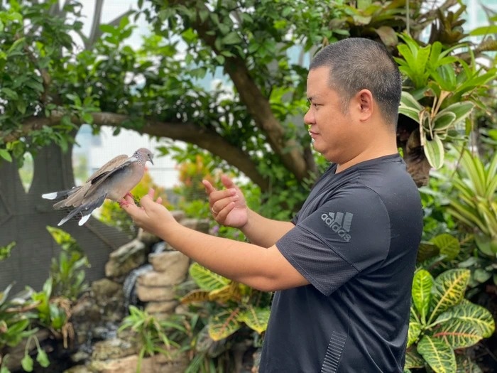 mua ngay tam binh anh 1