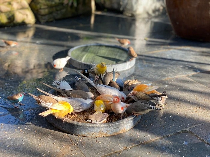 mua ngay tam binh anh 4