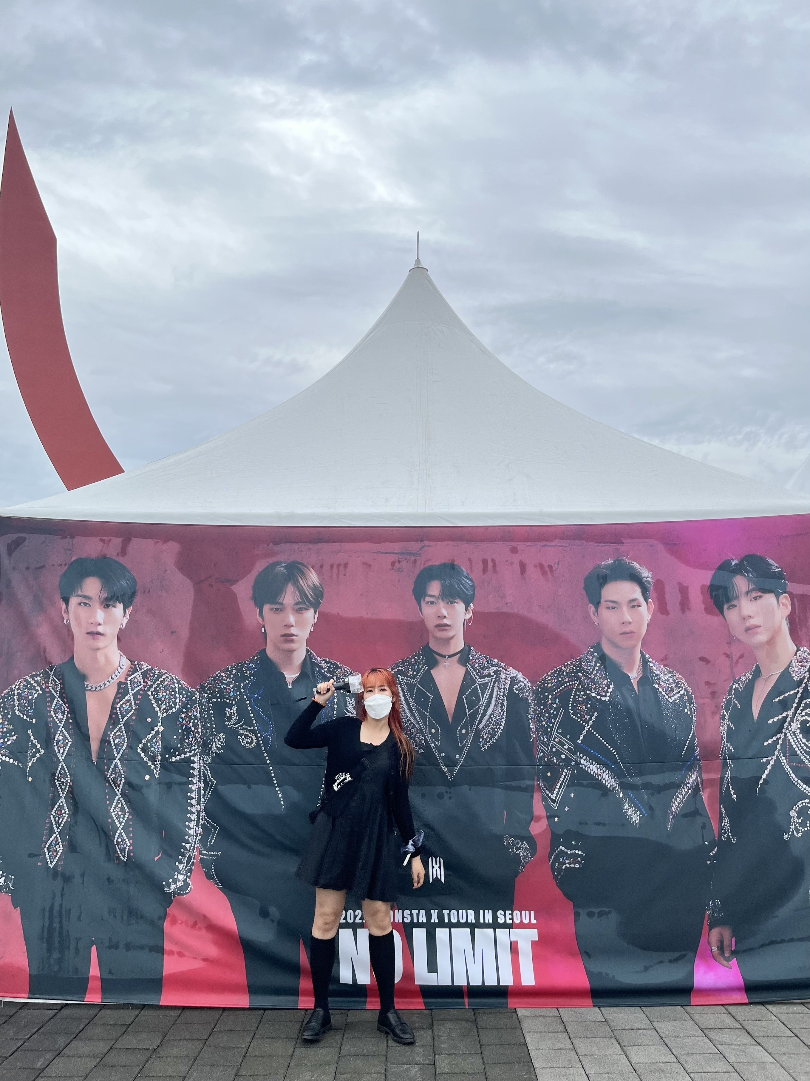 fan du idol kpop anh 5