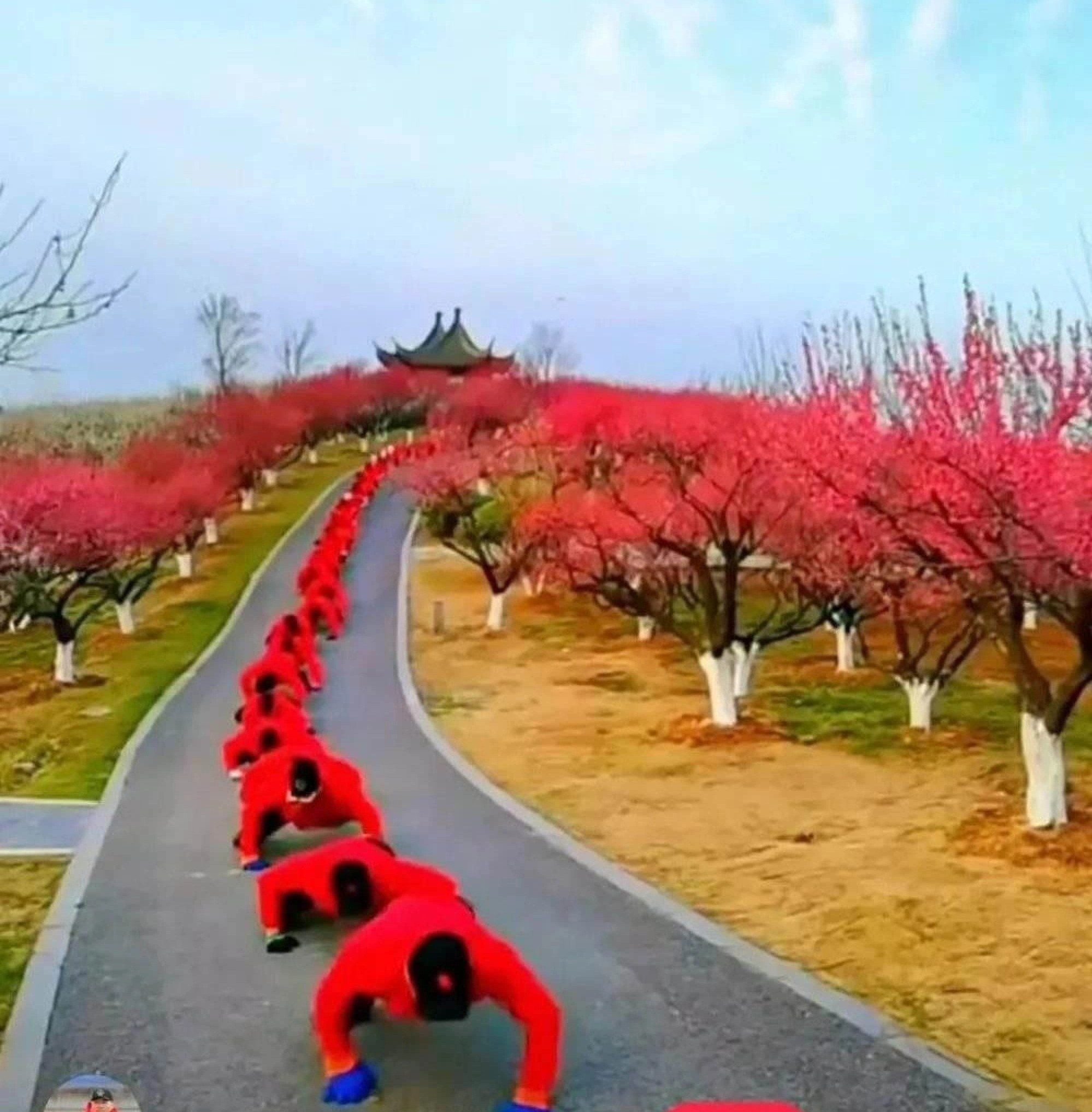 chua dau lung cot song anh 2