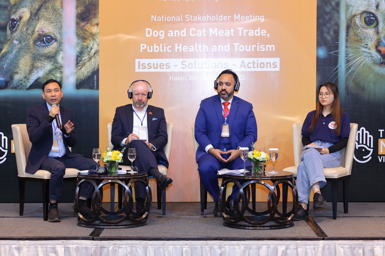 buon ban thit cho meo anh 1