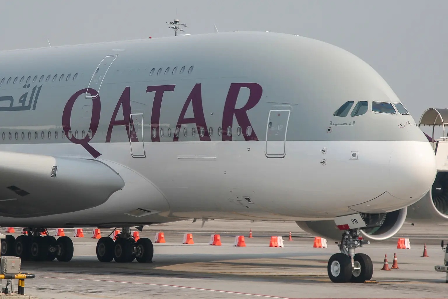 bi tu choi vi beo anh 2